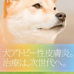 犬アトピー性皮膚炎に関する情報サイト｜ゼノアック