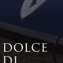 株式会社DoLce