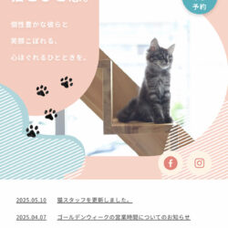 保護猫カフェ285（ニヤゴ）