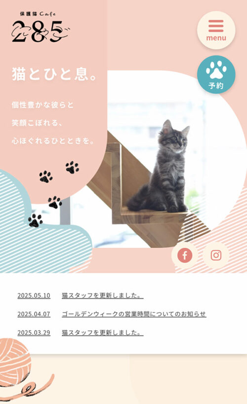 保護猫カフェ285（ニヤゴ）