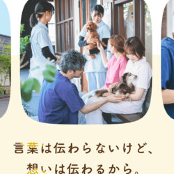 みのわ動物病院